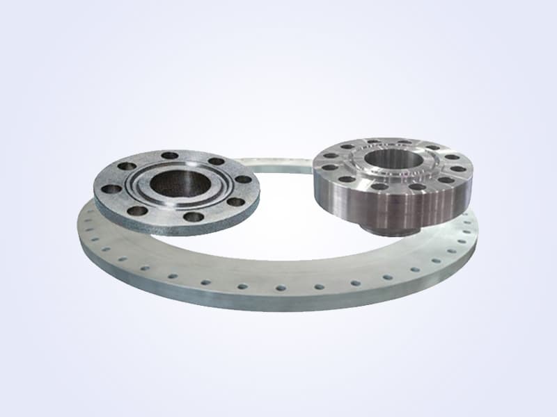 Welding Neck Flange - 带颈对焊法兰 (10)