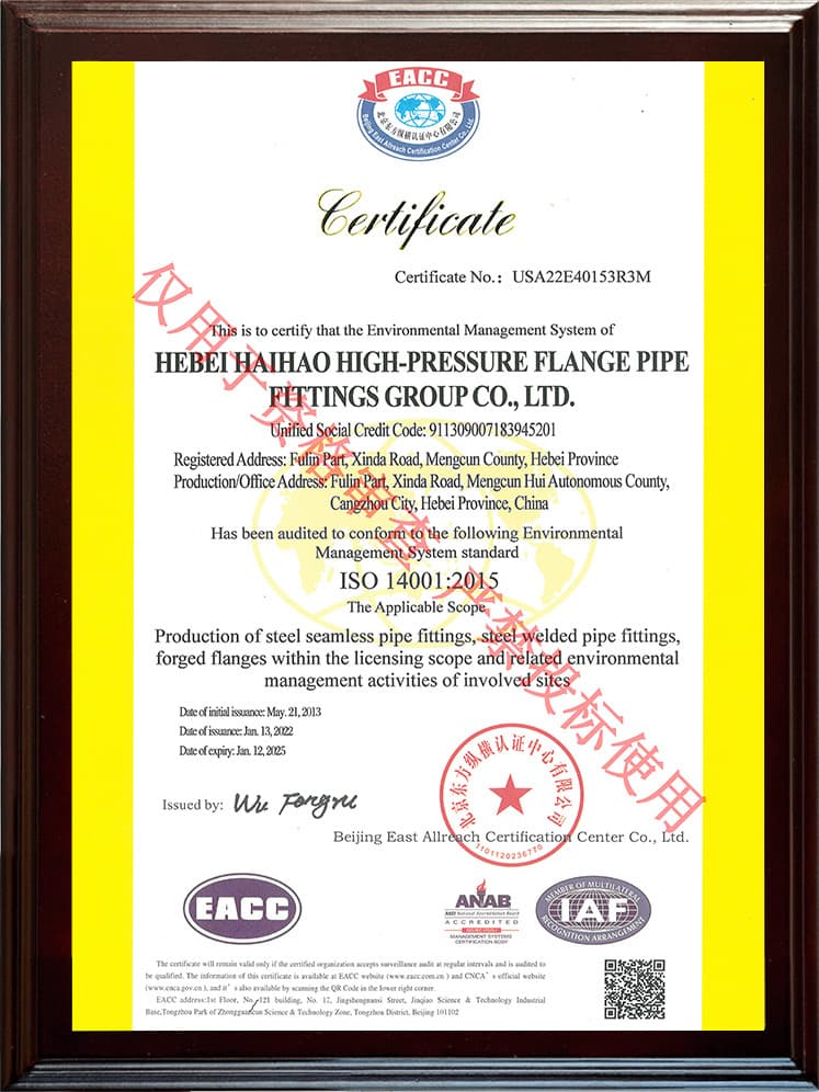 ISO 14001 الإدارة البيئية (الإنجليزية)