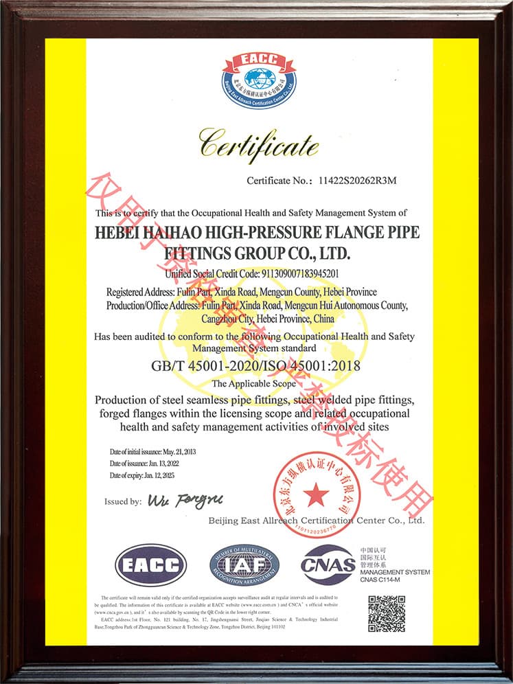 ISO 45001 الصحة والسلامة المهنية (الإنجليزية)