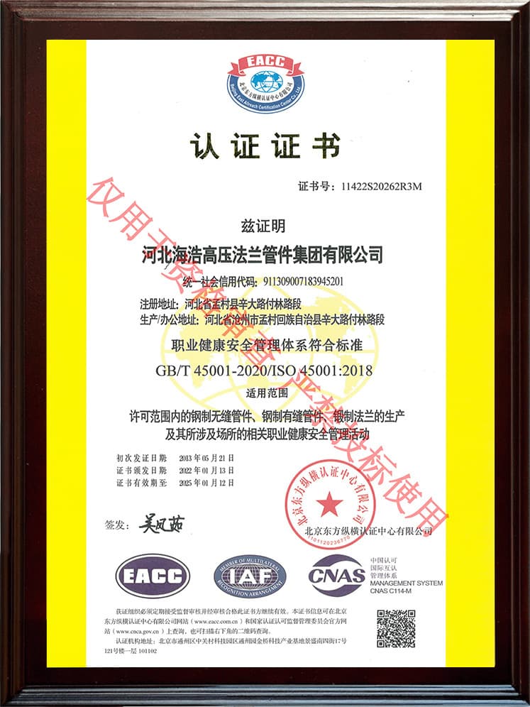 ISO 45001 الصحة والسلامة المهنية (الصينية)